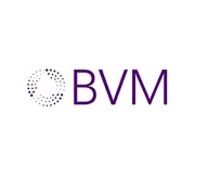 BVM Insights Team